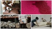 Mark S Carpet Upholstery Logo