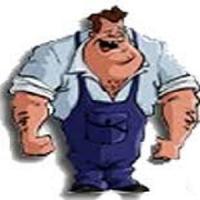 DumpsterPro Livonia Logo