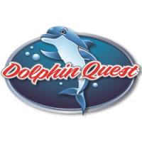Dolphin Quest Logo