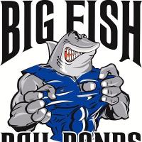 Big Fish Bail Bonds Logo