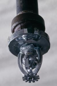 AJ Maldonado Sprinkler Repair & Yard Works Logo