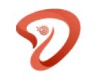 Website designer in Minnesota Pine Island .co Logo