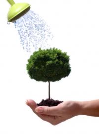 Anthony's Property Restoration and Tree service Logo