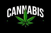 Cannabis Health Home Logo