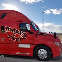 Torres and Sons LLC Logo