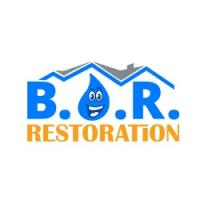 Best Option Restoration (B.O.R) of West Las Vegas Logo