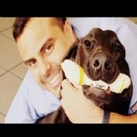 Wilton Manors Animal Hospital Logo