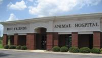 Best Friends Animal Hospital Logo
