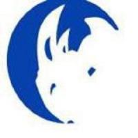 Rhino Moving LLC Logo