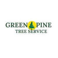 Green Pine Tree Services Logo