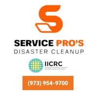Services Pros of Newark logo