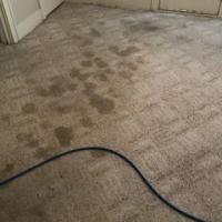 Sears Carpet Cleaning & Air Duct Cleaning Logo