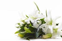 Always Affordable Flowers Logo