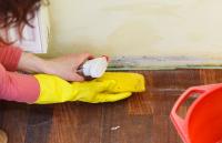 Mold Solutions of Atlanta Logo