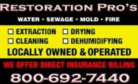 Water Damage Cleanup Pros of Coeur d’Alene Logo