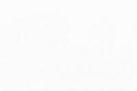 1st Moving Company Albuquerque NM Logo