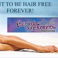Hair Today Gone Tomorrow Electrolysis Logo