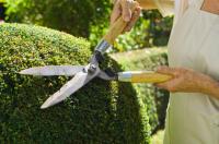 Rice Landscape - Design Inc. Logo