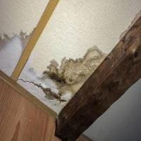 Water Damage Experts Of Gem City Logo