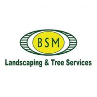 BSM Landscaping and Tree Service logo