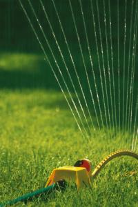 K&T Landscaping, LLC Logo