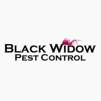 Black Widow Pest Control Logo
