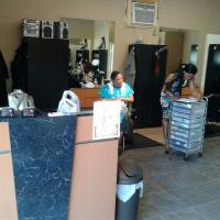 All Dolled Up Hair Studio Logo
