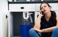 Old Town Mold Experts Logo