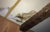 Water Damage Experts Of SmallTon Logo