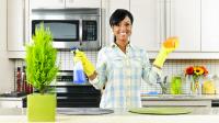 Sparkle With Joy Professional Cleaning Logo