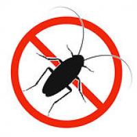 Ormond Beach Pest Control Logo