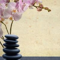 Wellness Thai Massage & Day Spa Logo