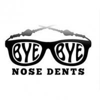 Bye-Bye Nose Dents Logo