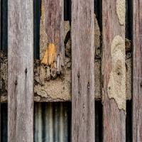 Port City Termite Experts Logo