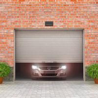 Castle Rock Garage Doors Repairs Logo