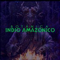 Botanica Indio Amazonico Logo