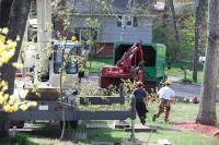 RS Sanford Tree Service Company Logo