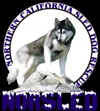 Northern California Sled Dog Rescue (NorSled) Logo