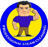Professional Steam Cleaning Logo
