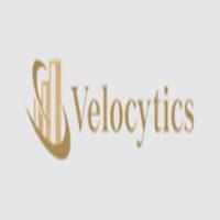 Velocytics LLC Logo