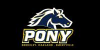 B.O.E. PONY YOUTH BASEBALL AND SOFTBALL LEAGUE Logo