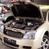 Bainbridge Tire & Auto Inc. Logo