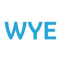 Wye LLC Logo