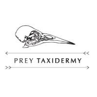 Prey Taxidermy Logo