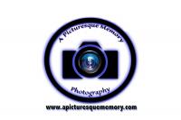 A Picturesque Memory Logo