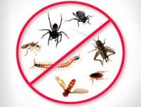 Copter Pest Control Logo