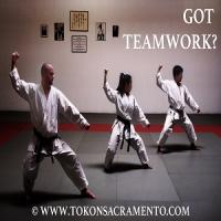 Tokon MartialArts Logo