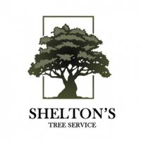 Shelton's Tree Service Logo