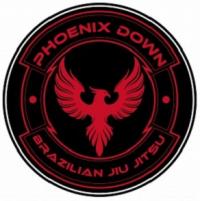 Phoenix Down Brazilian Jiu Jitsu Logo