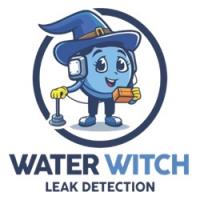 Water Witch Leak Detection logo